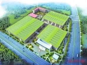 三甲醫(yī)院 國(guó)際學(xué)校 福州這個(gè)區(qū)域越來(lái)越火 今年已完成項(xiàng)目投資37億元